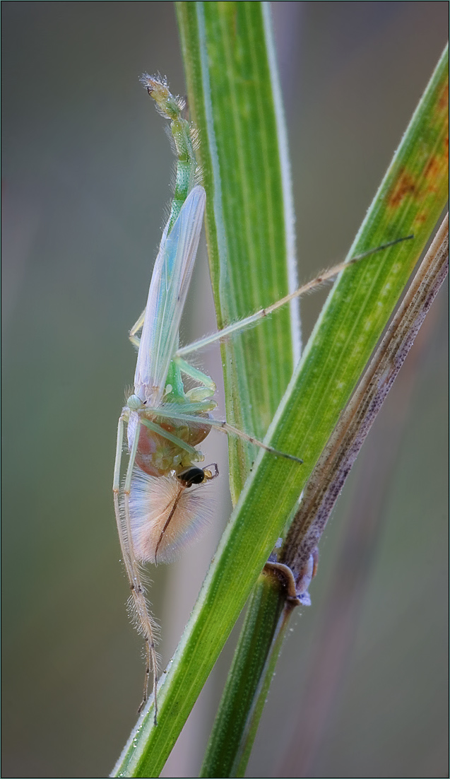 CRW_1344-geometria