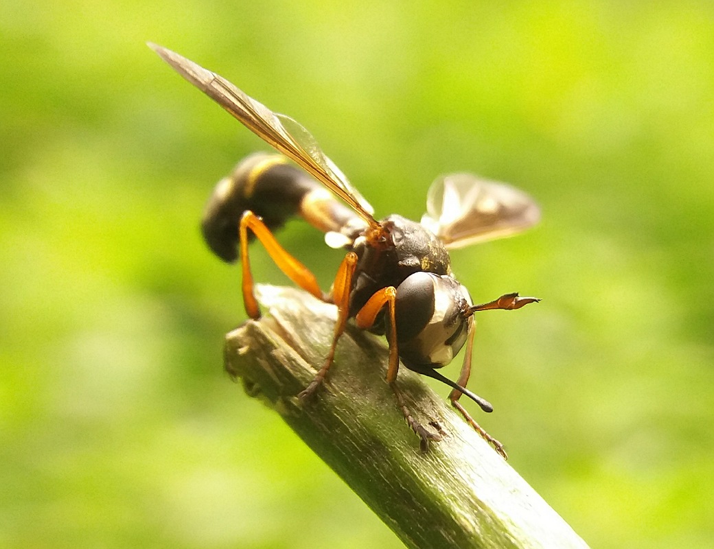 IMG_01072019_101302_1040_x_800_