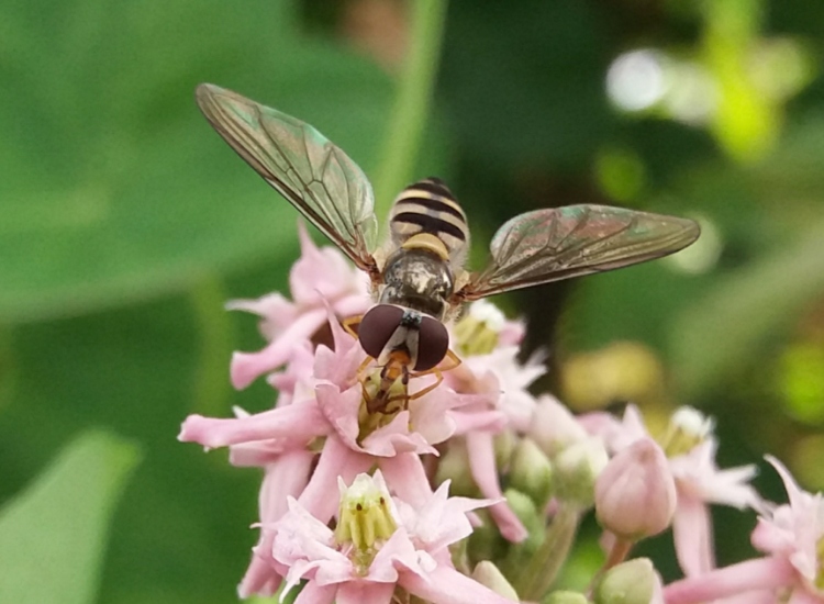 IMG_23022019_132133_750_x_550_