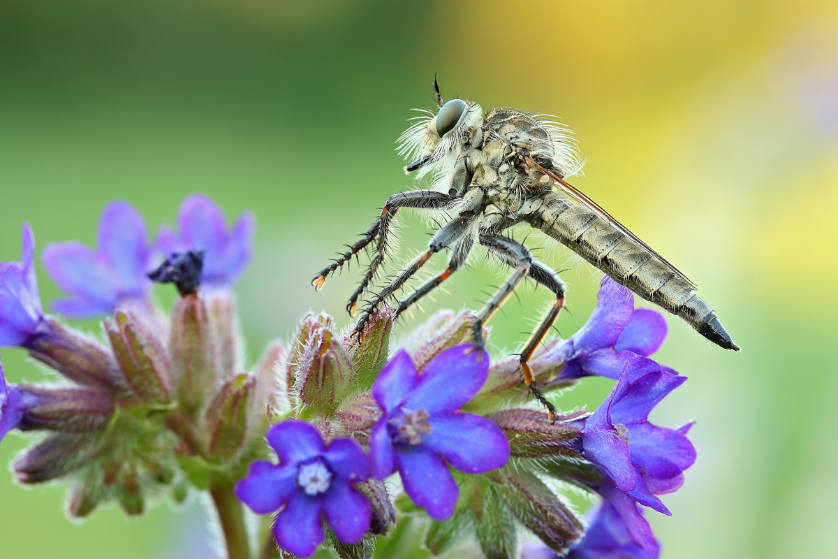 IMG_2348_obrabotka_2_1200_bez_teksta_saveforweb