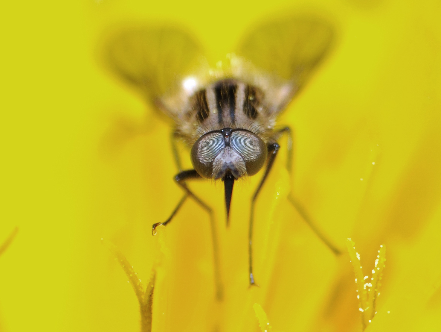 ac208ceeebecf4fc0ab92a071aabb1a2