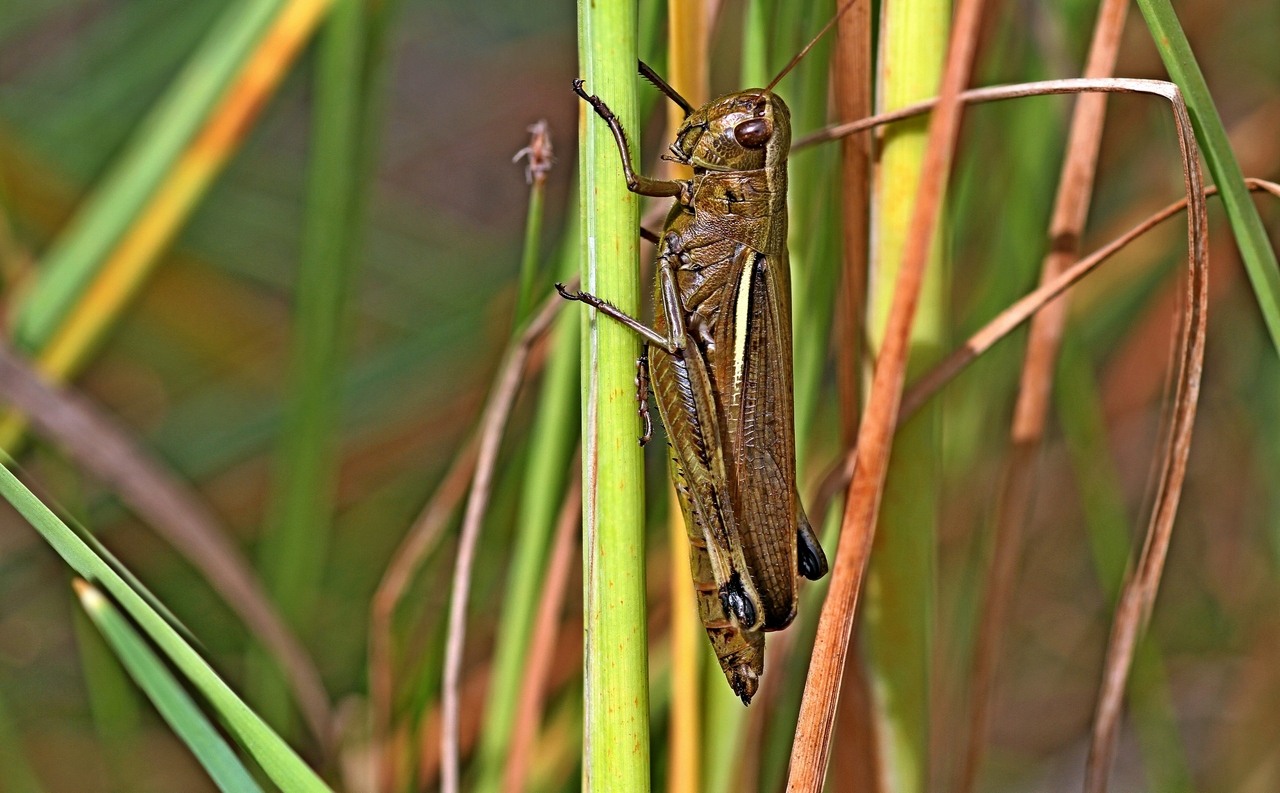 14-08-21_003112_M_B_R_50_S_10