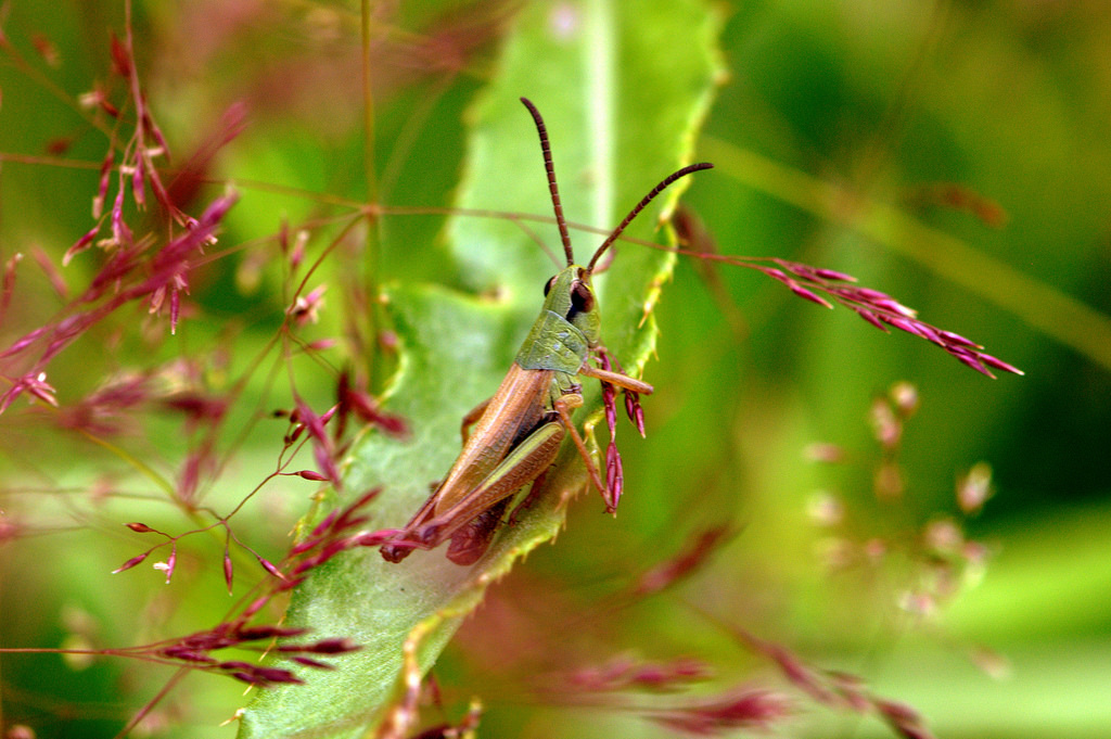 14809113083_a9f4b53863_b