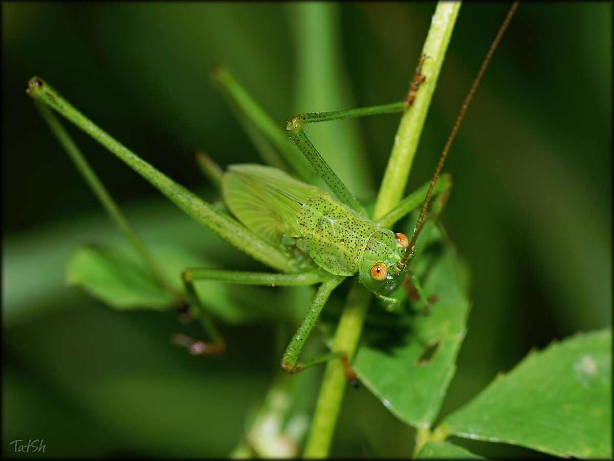 2013-08-08_12-20-17_