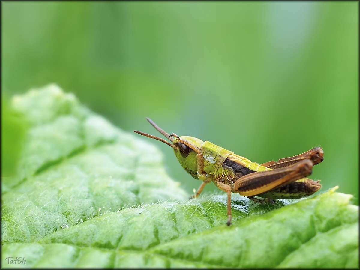 2015-07-19_07-55-16_