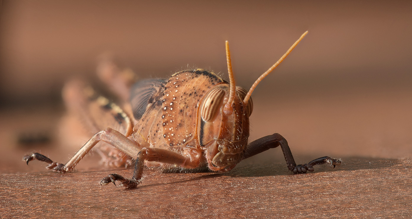 2015-09-25-21_21_44_ZS_PMax