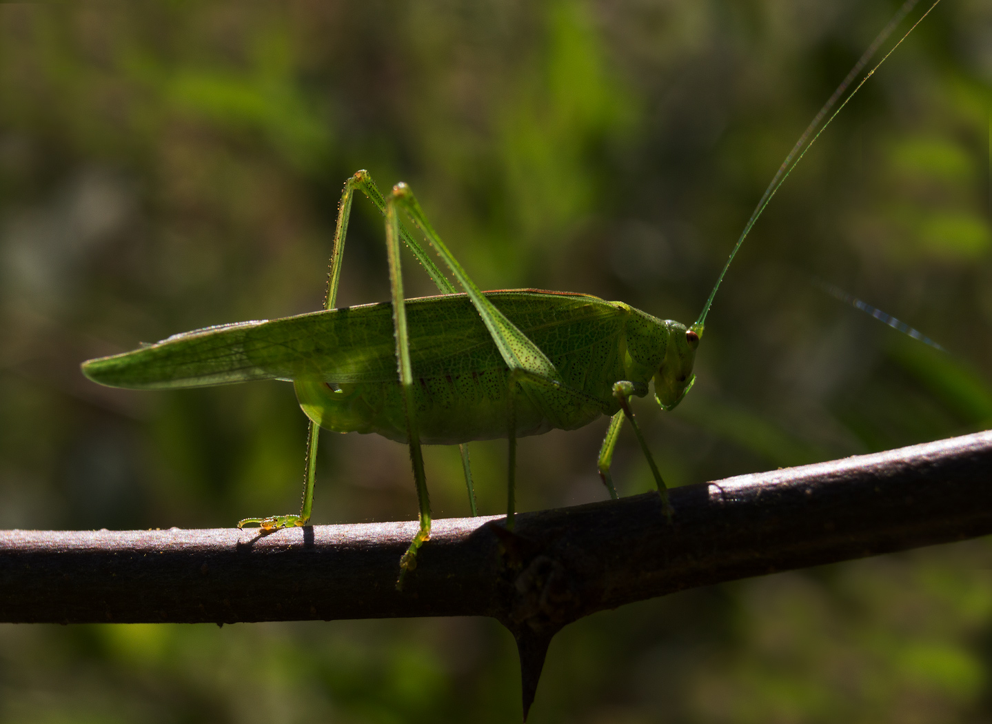 2015_08_24_09-19-17_064