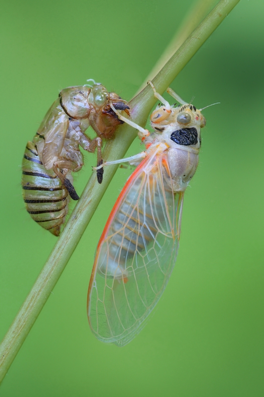 2017-05-30-22_59_50_ZS_retouched