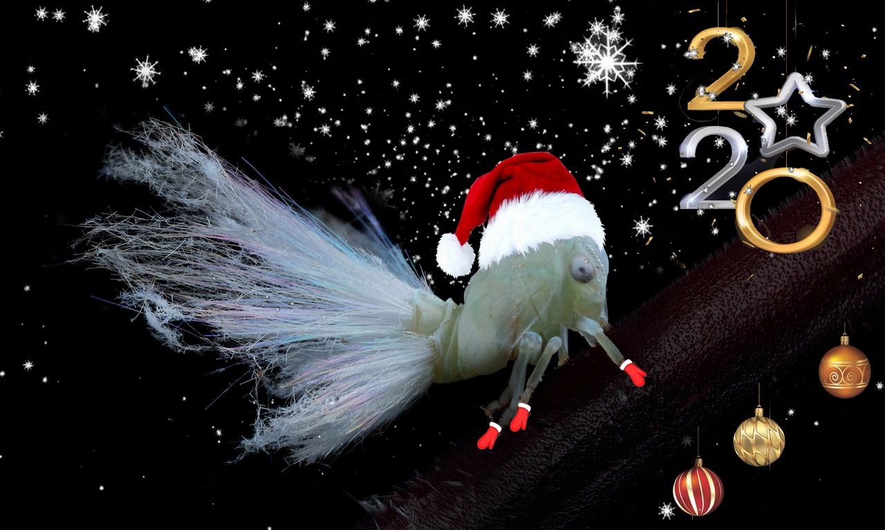 2019-09-02-22_45_13_ZS_PMax