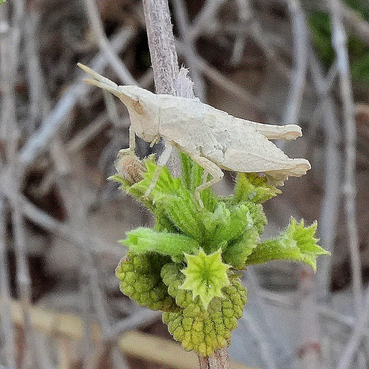DSC04437c