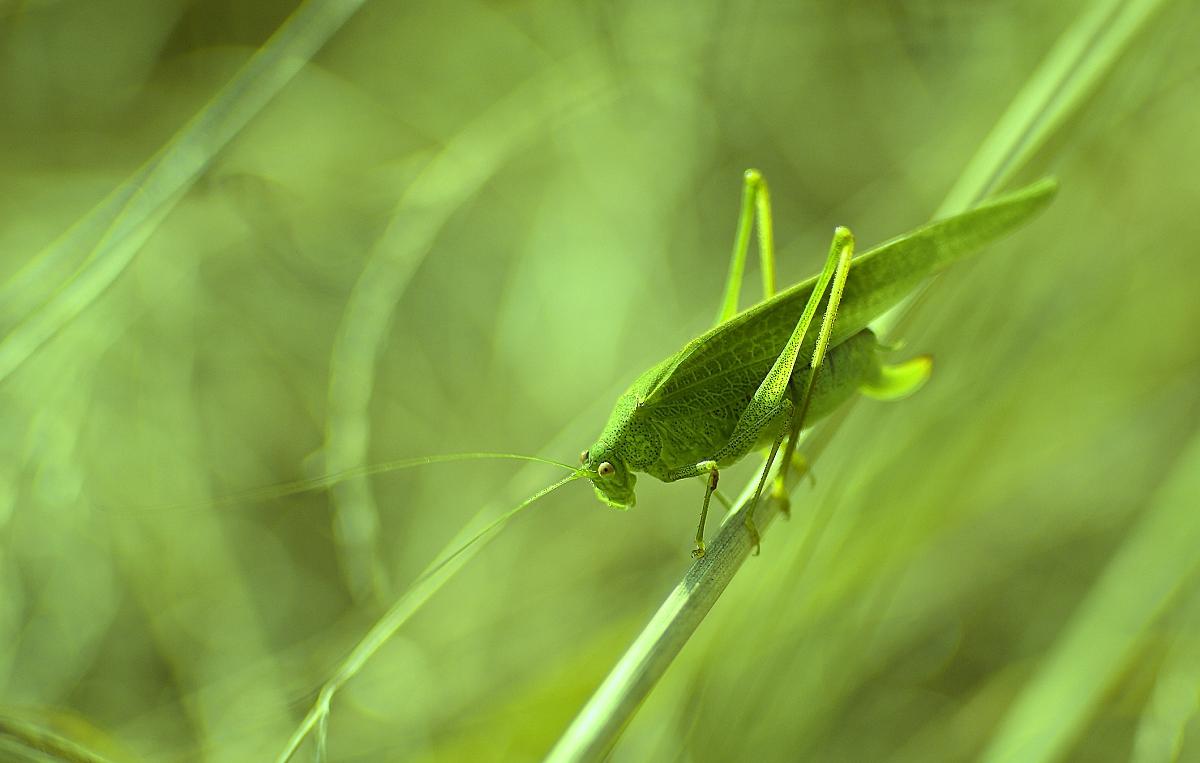 K1024_adb13cd0c44c302f02dc996b5c78dc26_