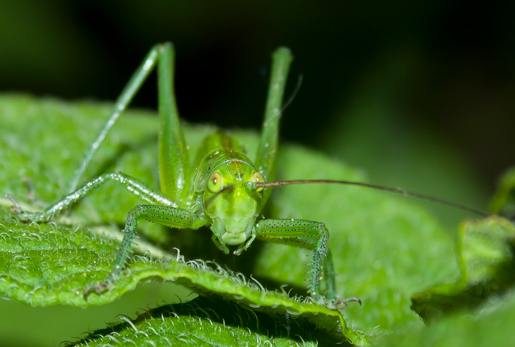 gallery_4673_344_831087