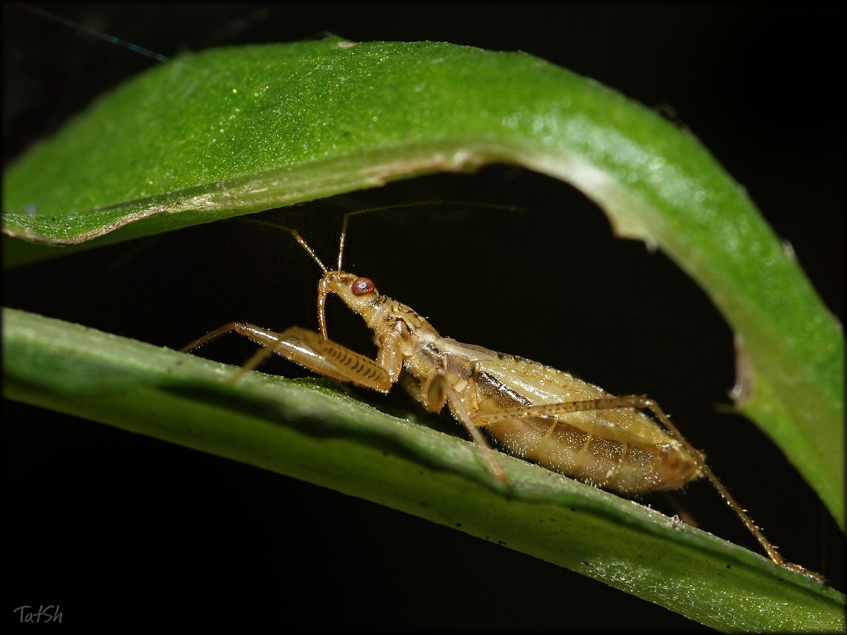 2013-08-13_14-31-21_