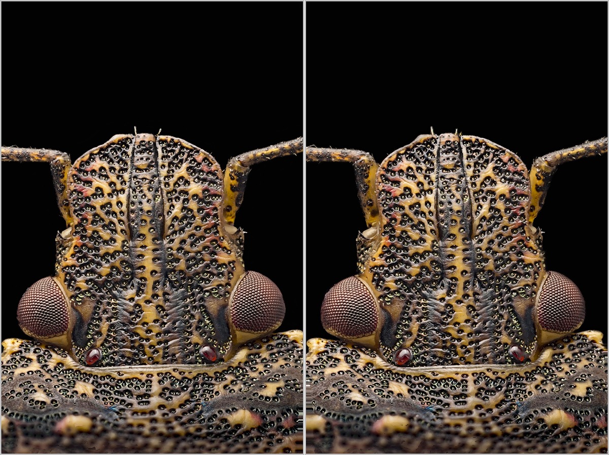 2018-02-12-13-EF-stereo