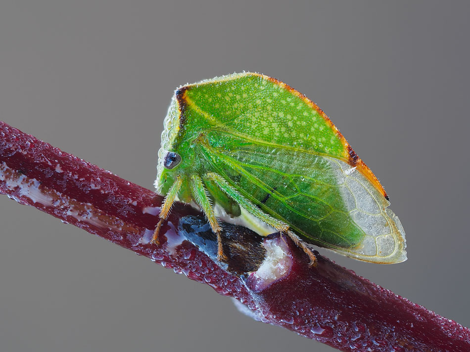 2019-10-15_13-55-20_M_A_R_20_S_1