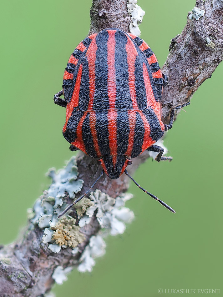 2020-05-19_22-04-03_M_A_R_20_S_2