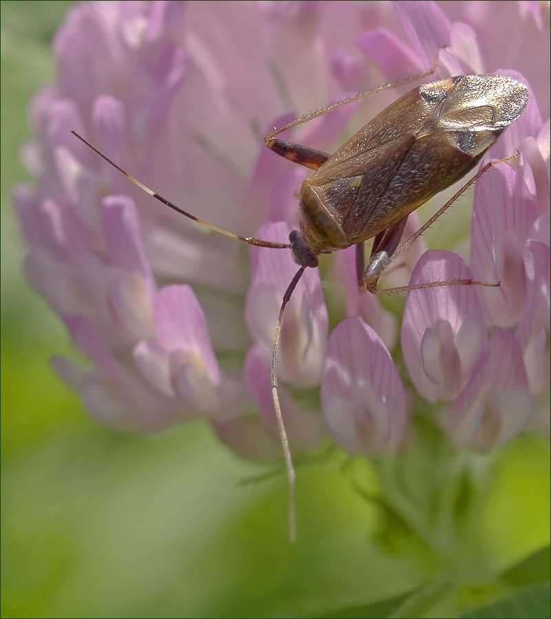 8202488_17_filtered_2_