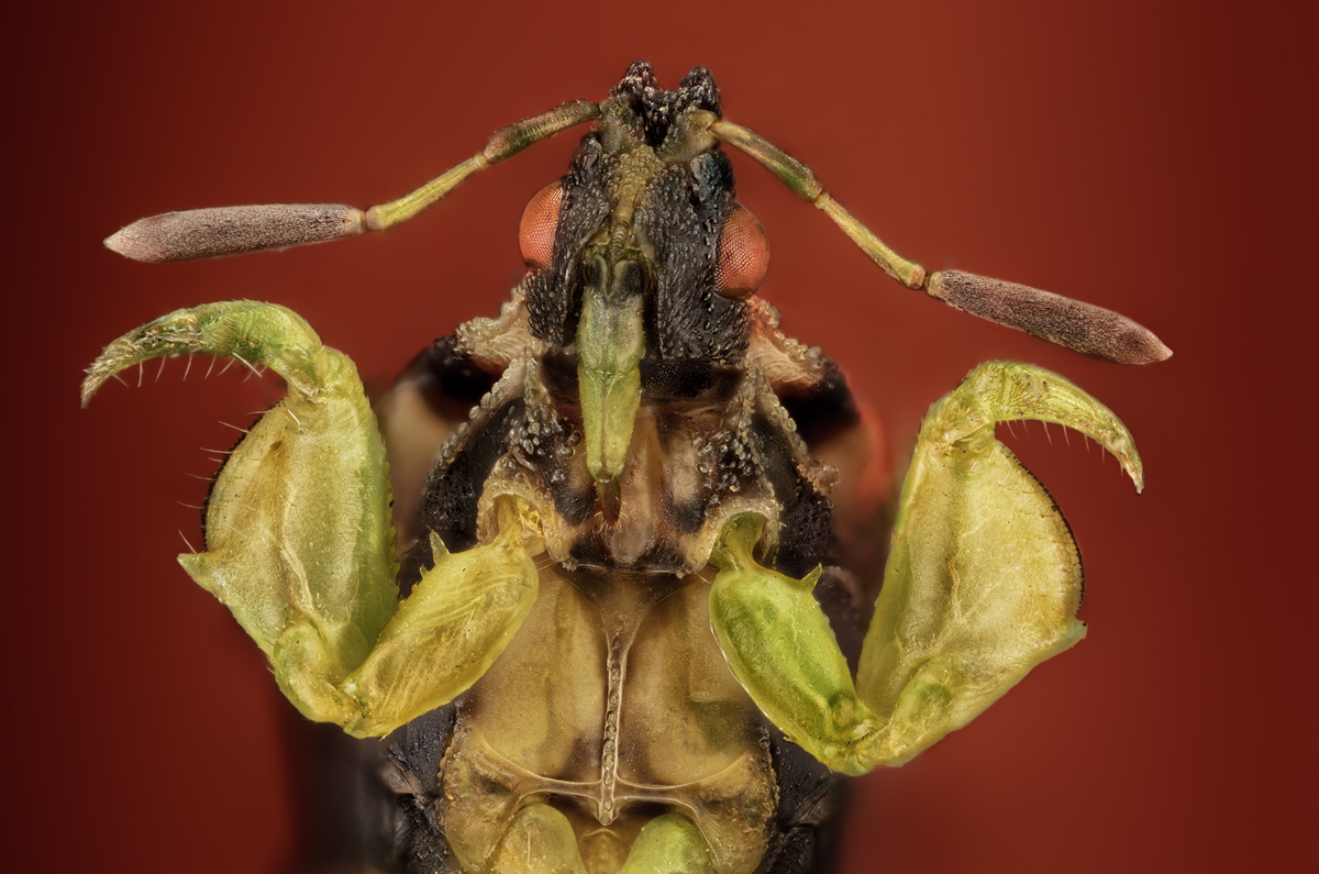 Red-Hug_retouched-1-res-MC