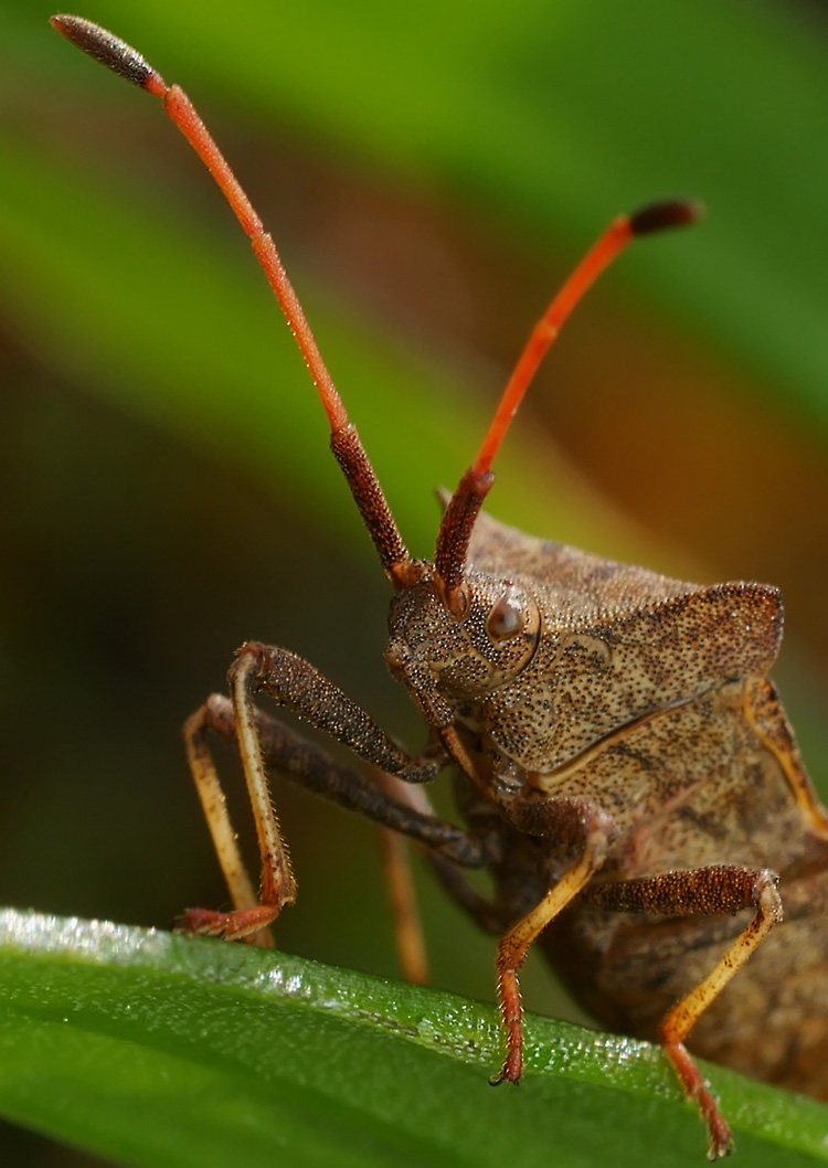 SG104094_Converted-12-12