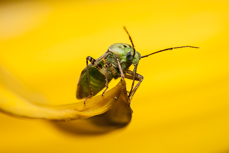 dp_8981-as-Smart-Object-1