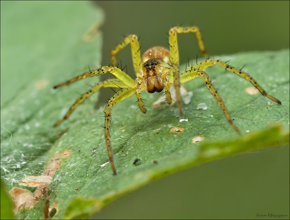 0_5022f_89ec82a5_XXL