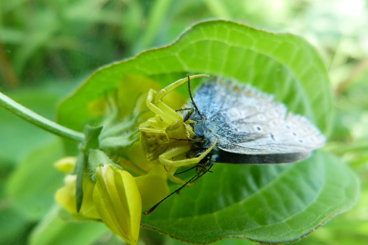 0_5d400_314090d_XXXL