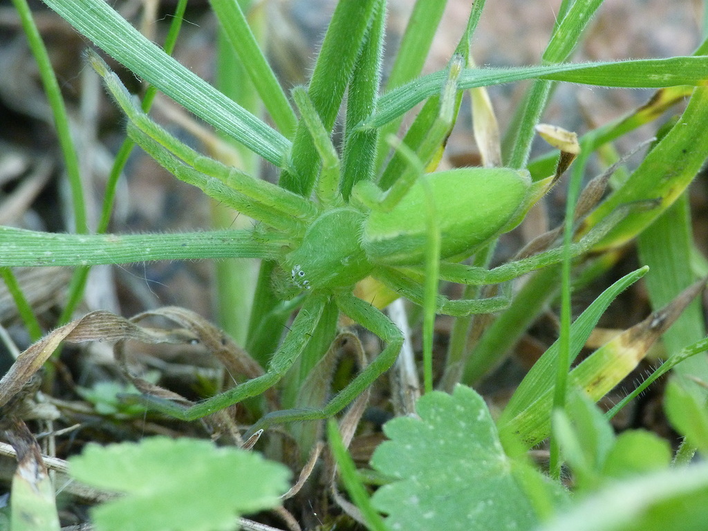 0_8c879_28464d10_XXL