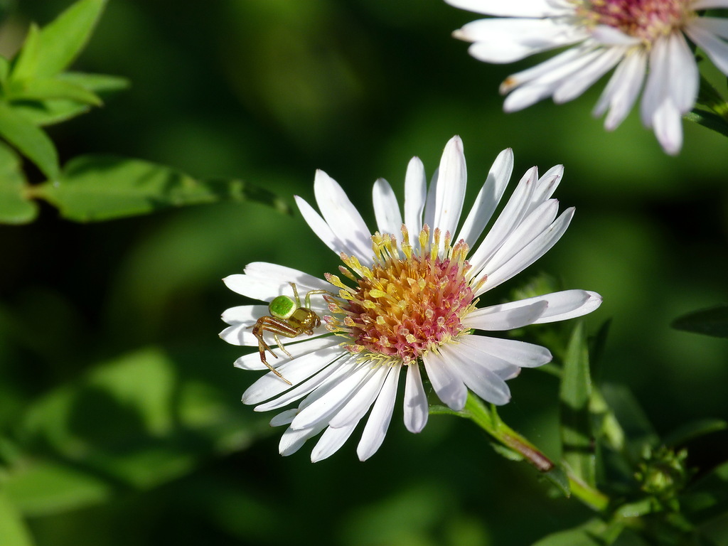 0_97e28_8e9892fe_XXL