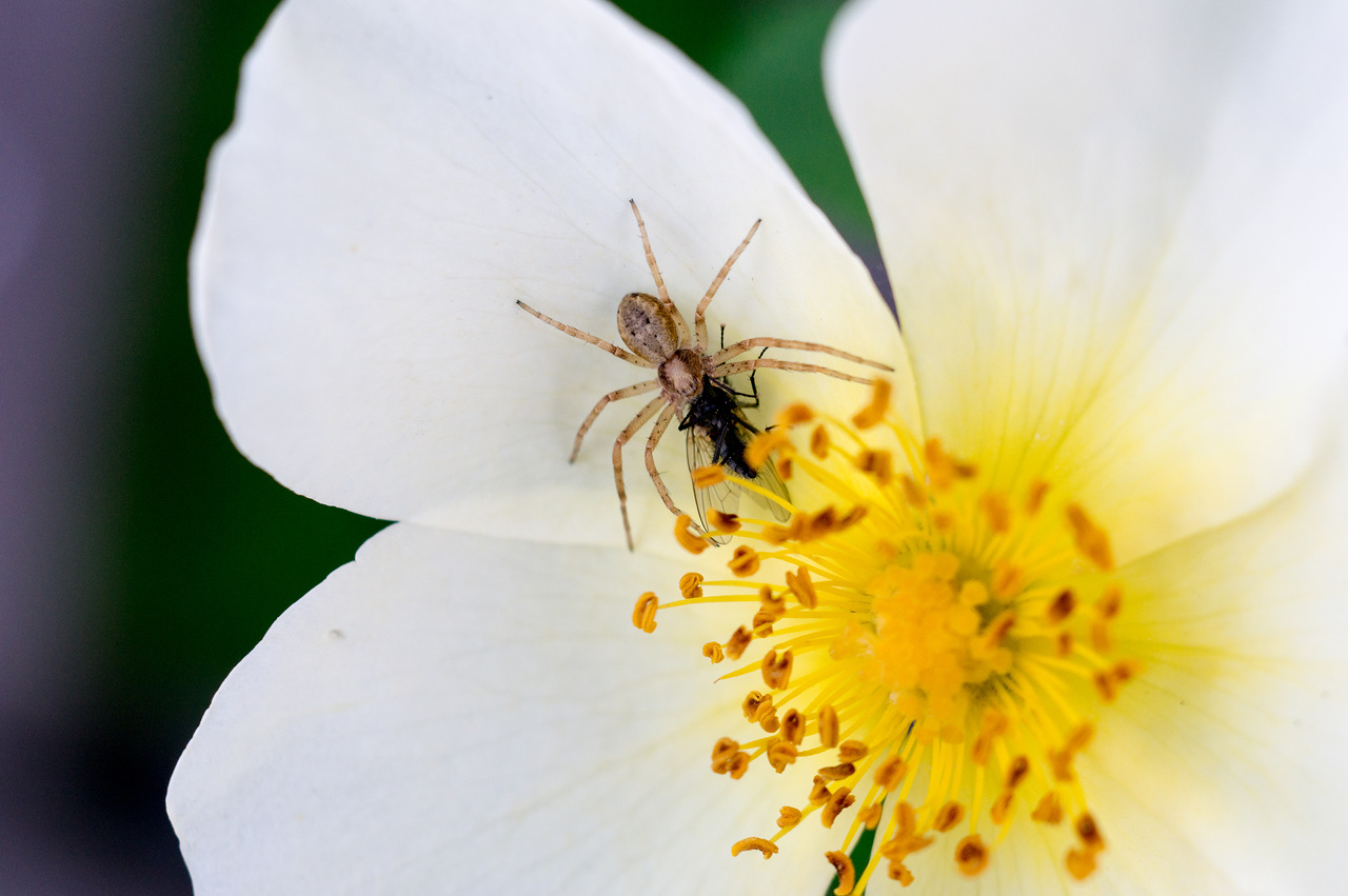 0_ad5a3_33e5e9ed_XXXL