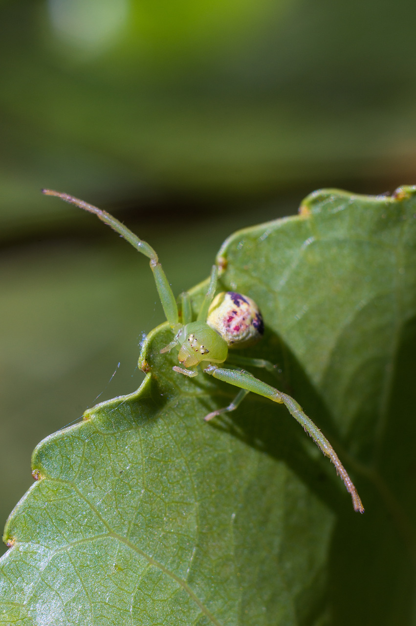 0_b4621_aa497c1f_-1-XXXL