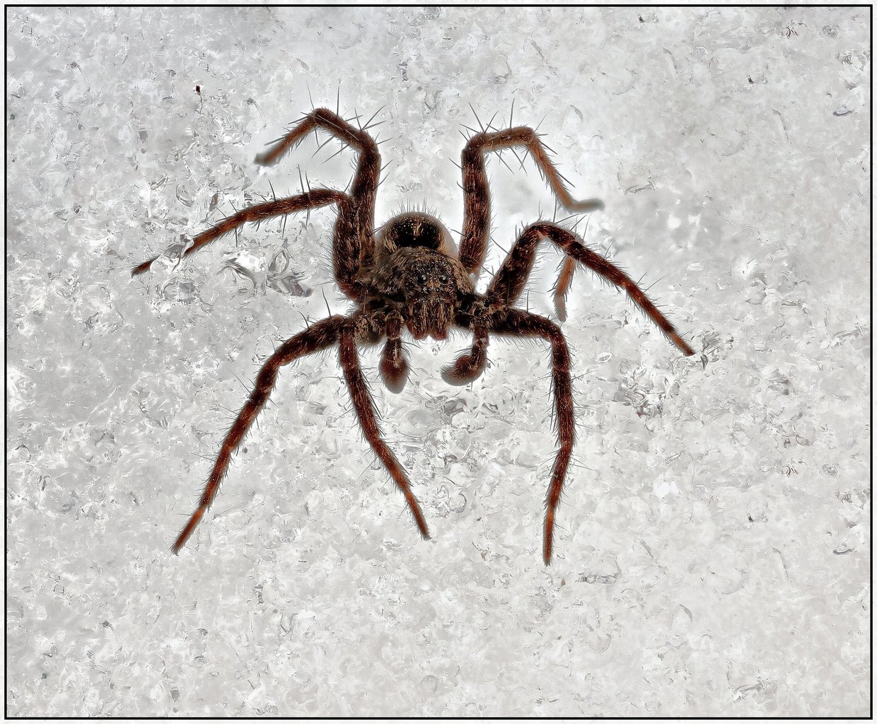 15-03-18_165931_M_C_fhdr_2_