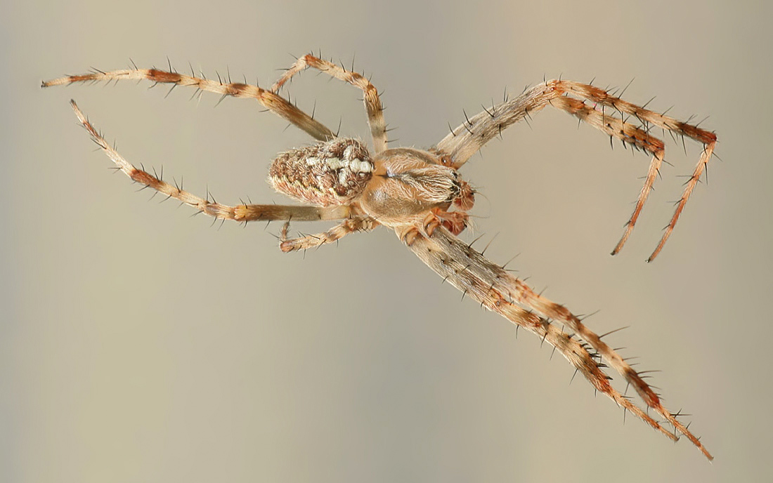 2011-08-26-19_09_42_ZS_PMax-2bb