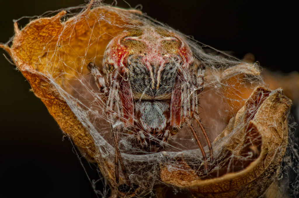 2013-08-22-18_11_52-ZS-retouched-PM