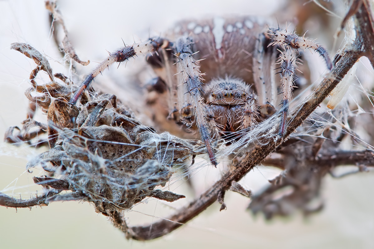 2013-08-31-21_38_16_ZS_retouched-Edit