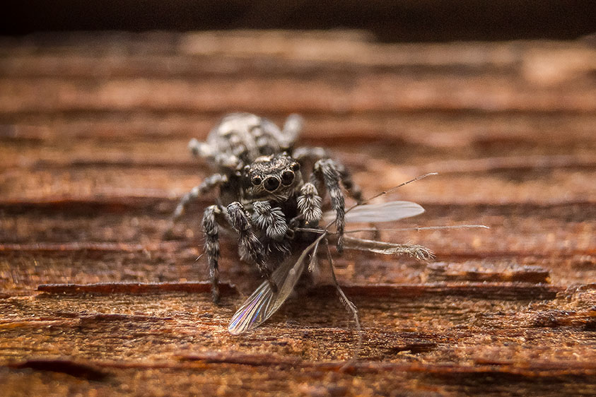 20130806_145816_DSC09712_79