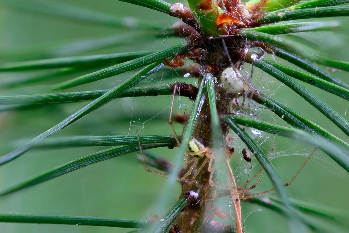 2014-06-07-23_51_18-ZS-retouchedmmw