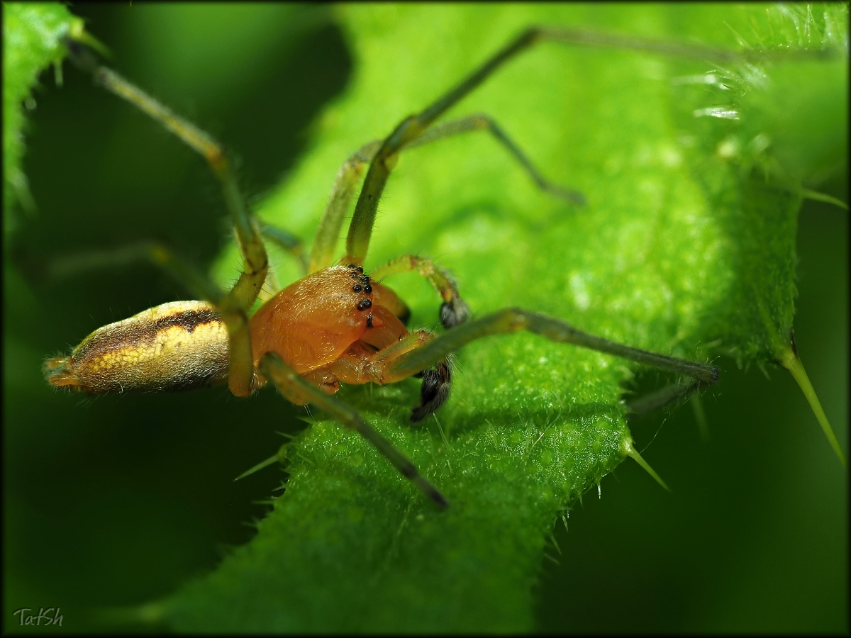 2015-05-29_10-26-12_