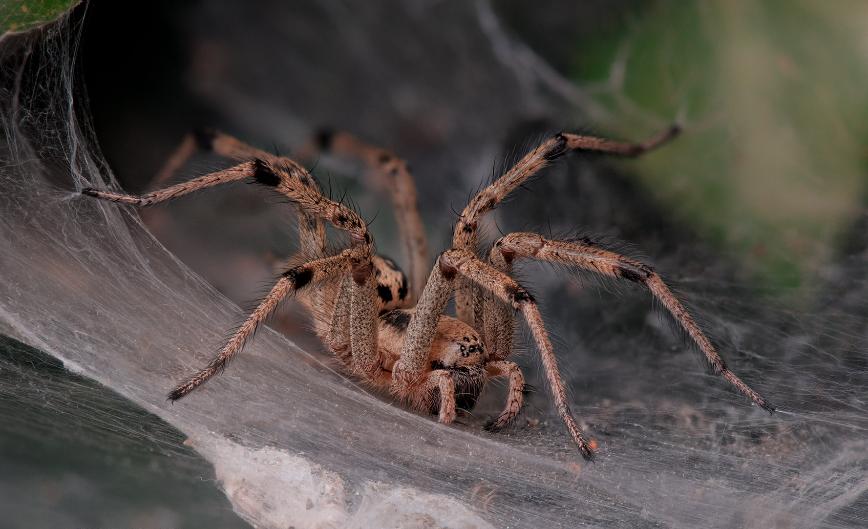2015-09-18-20_59_54_ZS_