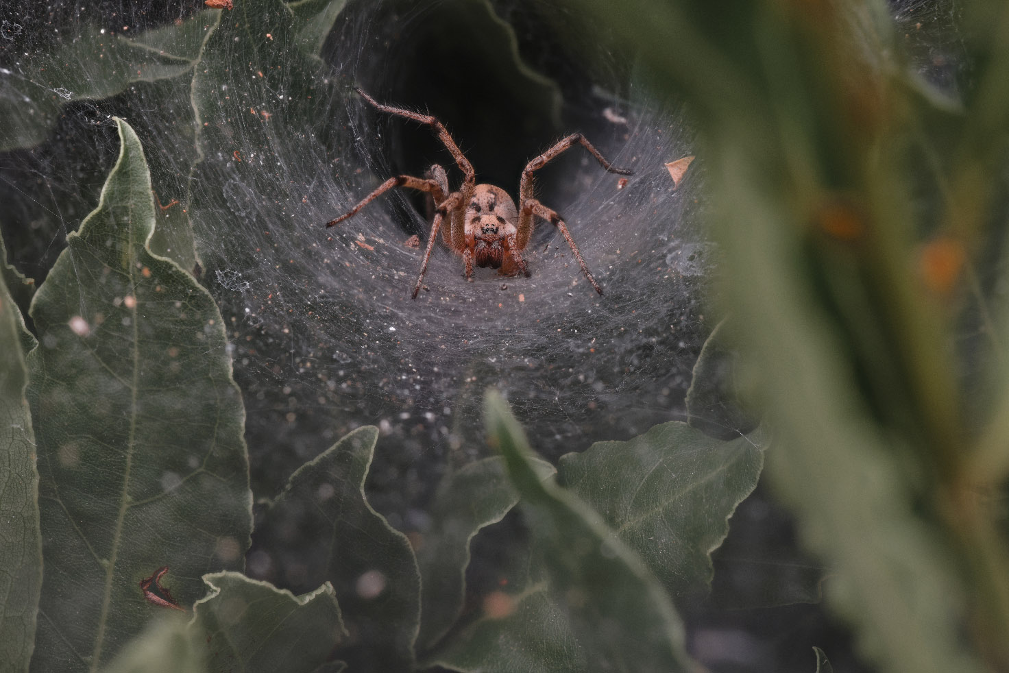 2015-09-29-21_29_30_ZS_PMax_UDR_