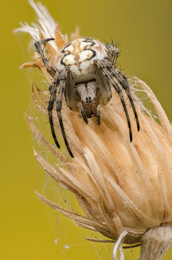 2016-05-07_14-41-36_C_b