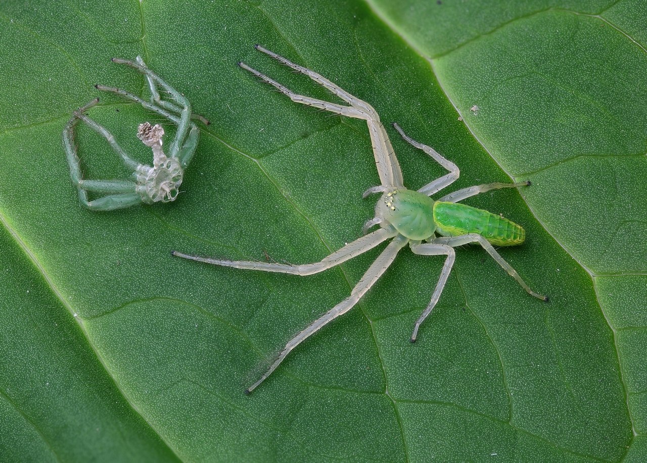 2016-05-15_18-30-18_M_C_R_8_S_4