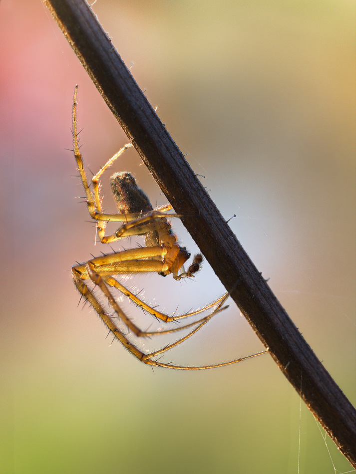 2017-10-18_22-47-34_M_A_R_8_S_4