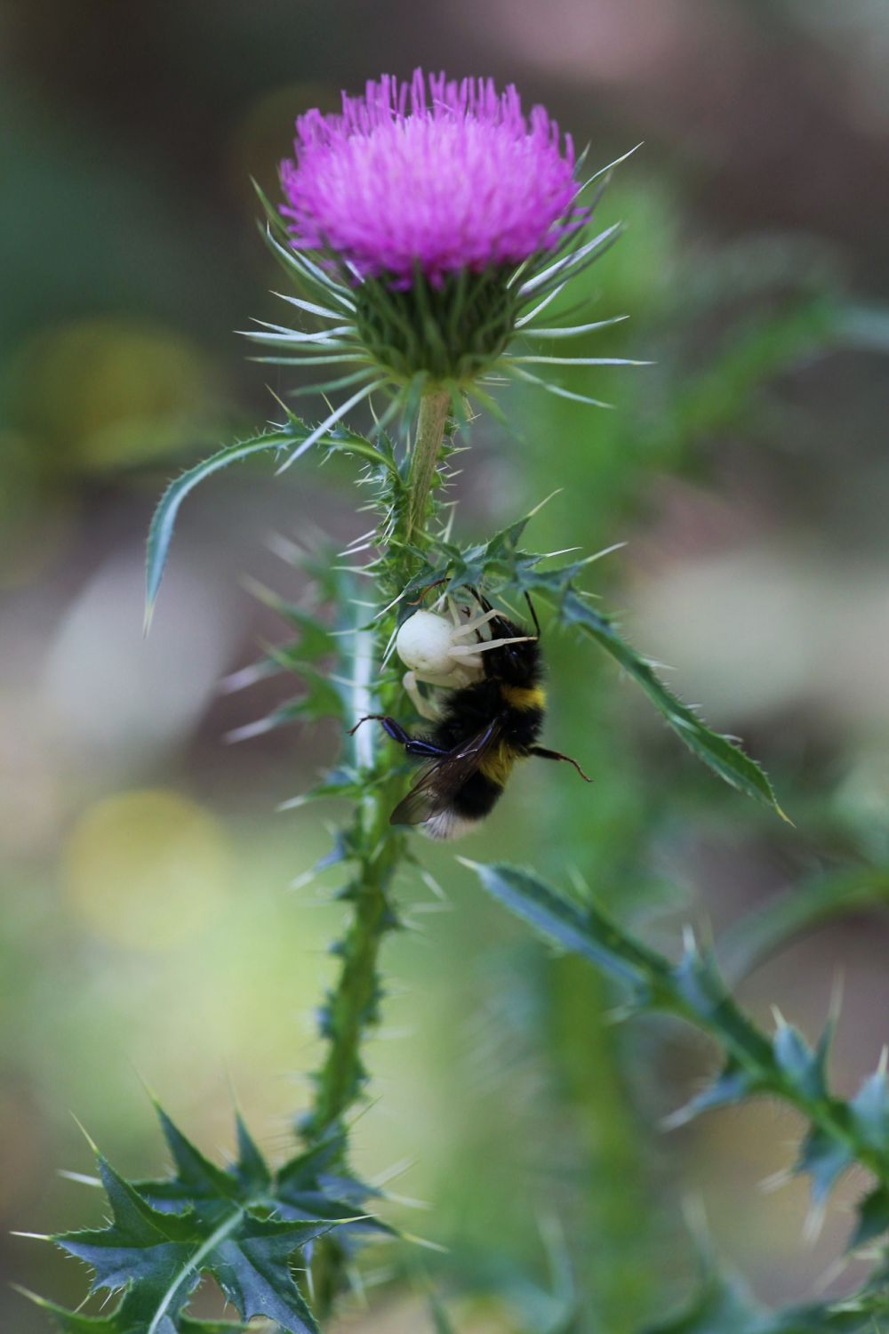 20170706112234_IMG_6742-01