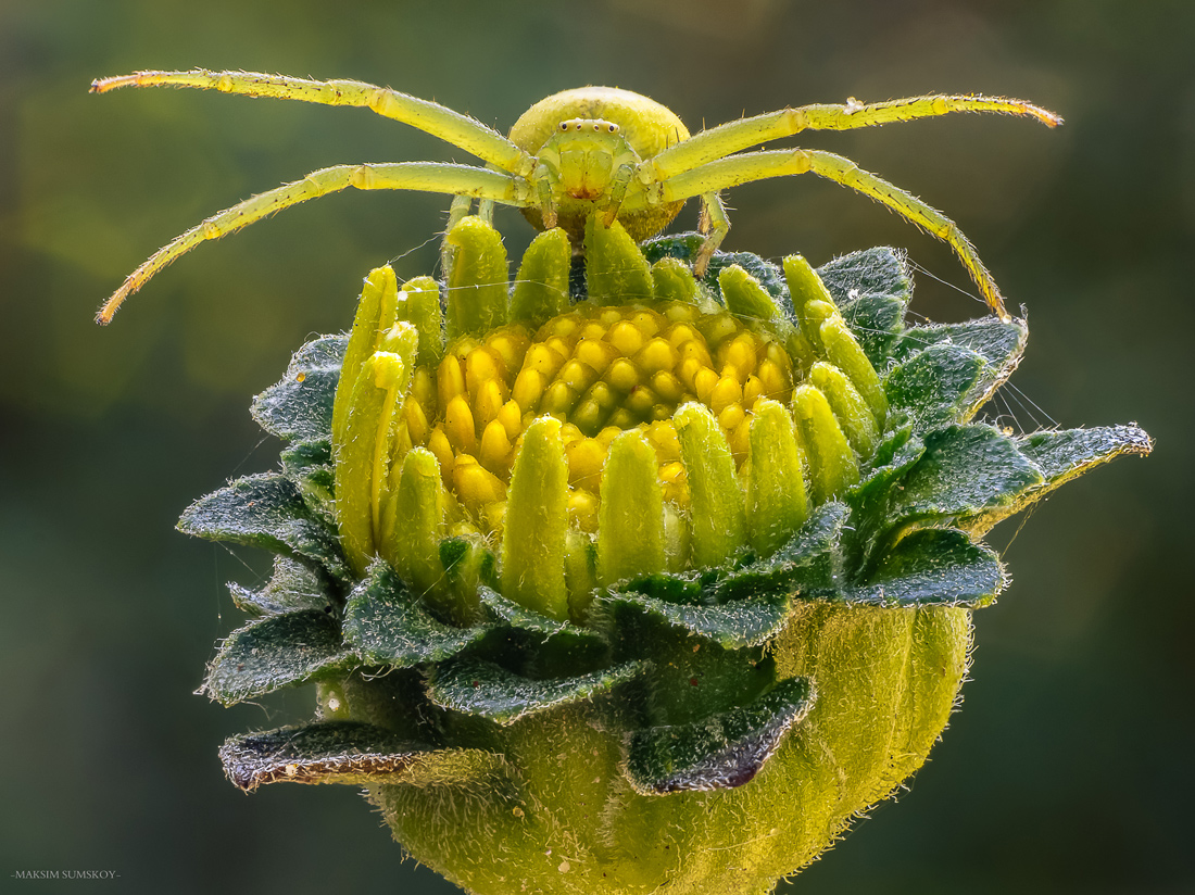 2018-03-18_19-28-18_M_C_R_2_S_7-2