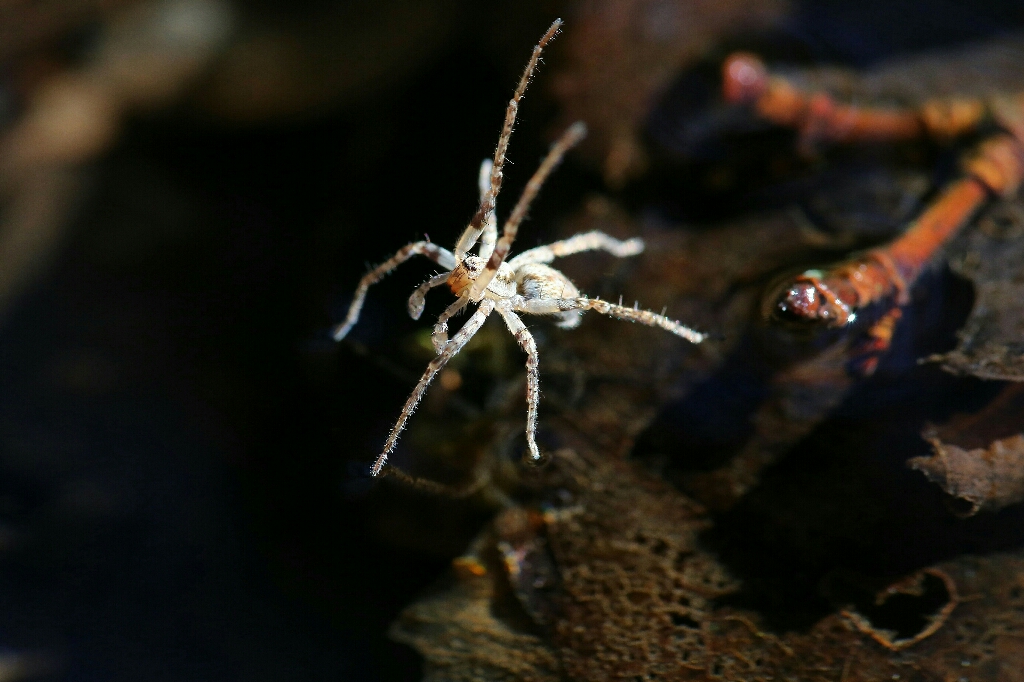 20180201120542_IMG_8148-01-5417x3611_1024x682