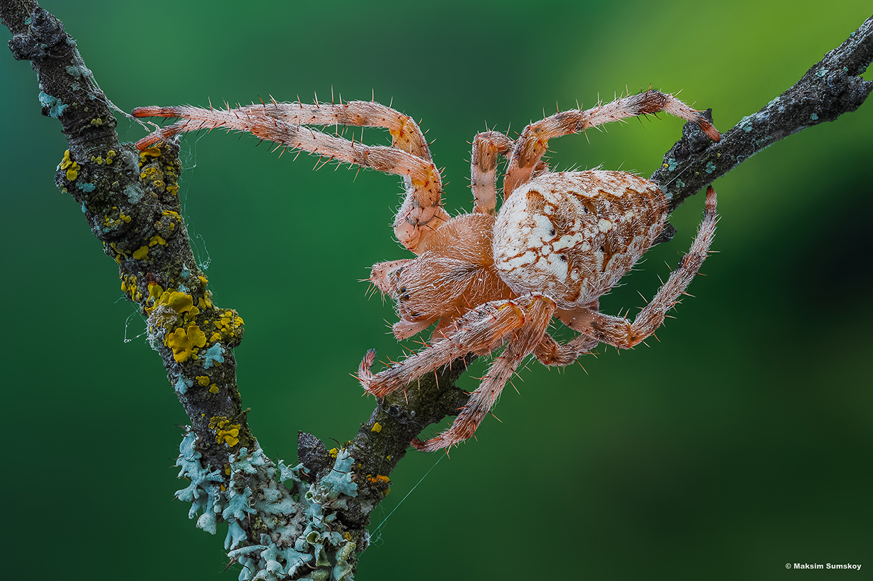 2019-02-20_19-40-53-M_B-R_7-S_5