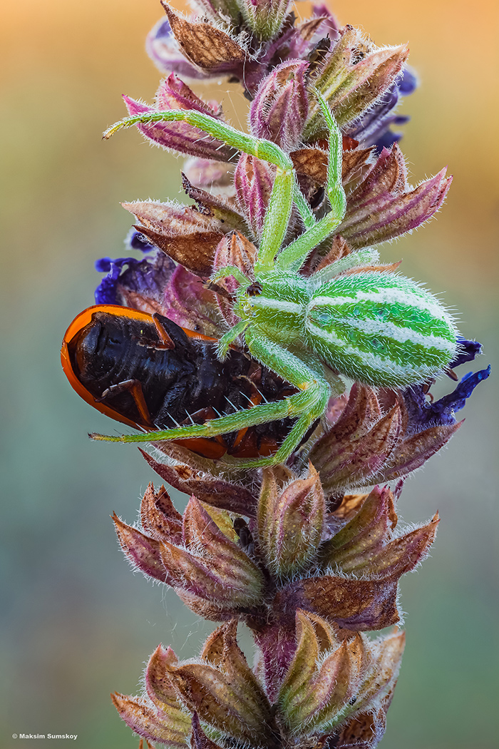 2019-03-06_18-10-19-M_B-R_5-S_4