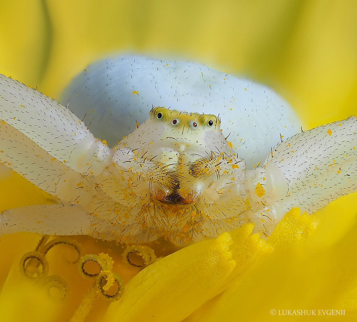 2020-05-10_22-30-55_M_A_R_20_S_2_