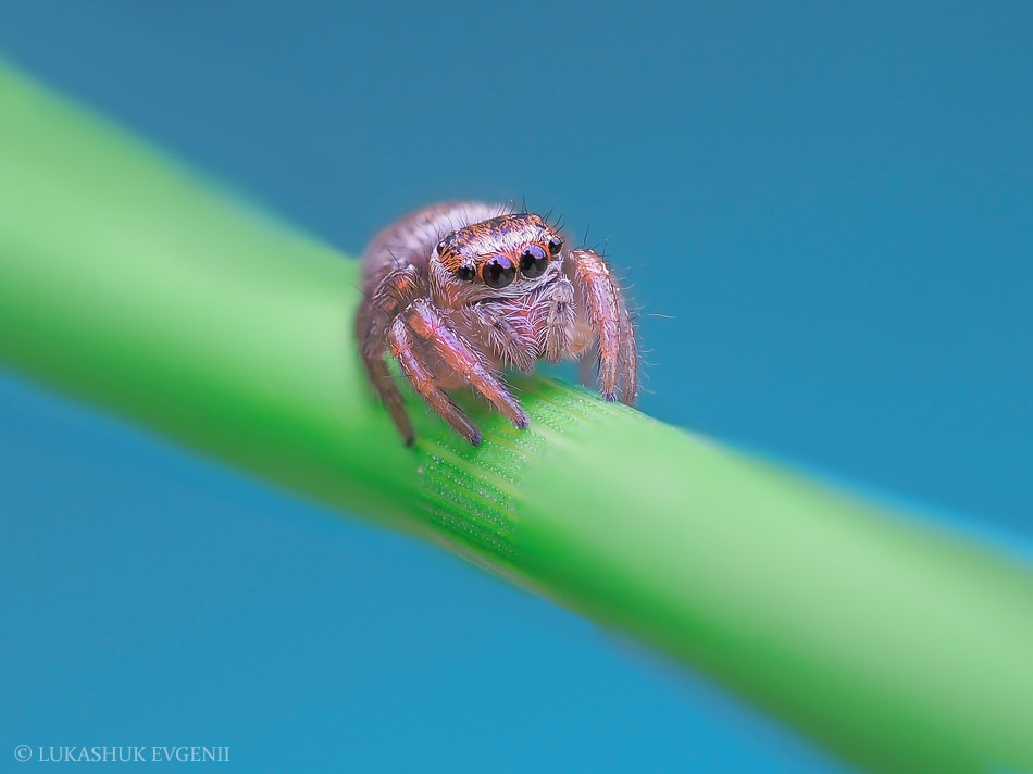 2020-05-13_21-24-08_M_A_R_20_S_2_