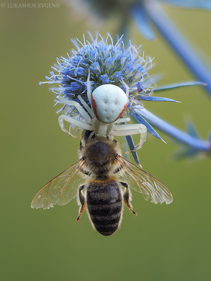 2020-08-16_11-53-49_M_A_R_6_S_3